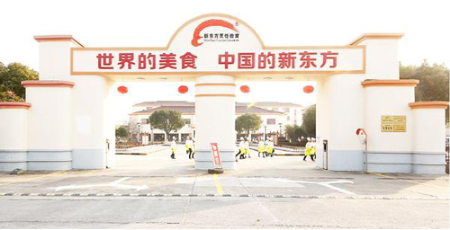 进新东方烹饪学校需要多少分呢？