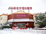 飘飘雪花下的校园美景 满足你对冬天的一切想象
